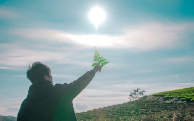 Les Echanges Energétiques et l’Importance d’avoir une haute Vibration